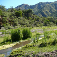 valle fertil